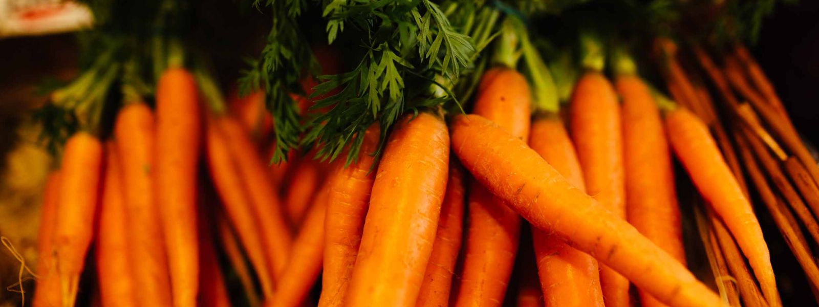 Food Market at Frosts Willington