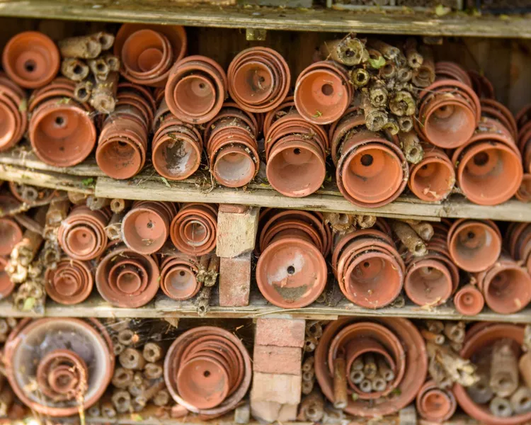 Little Acorns Flower Pot Bug Hotel