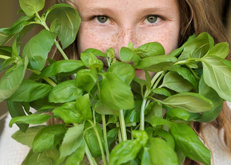 Little Acorns- Getting to know Herbs