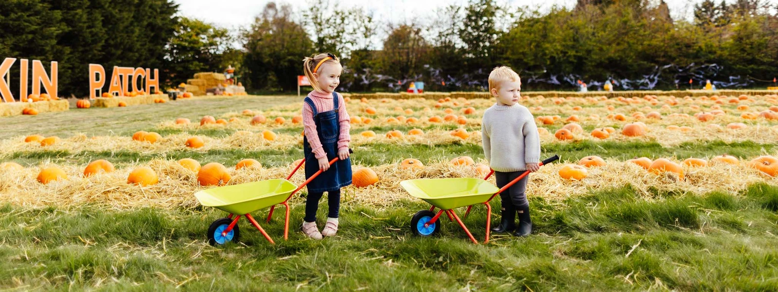 Frosts Pumpkin Patch