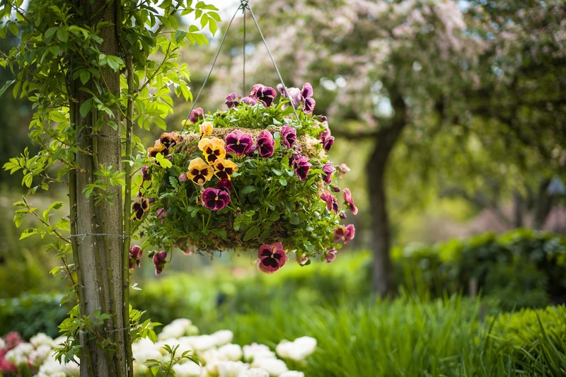 Summer Hanging Basket Workshop