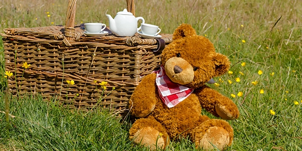 Teddy Bears Picnic Event at Lily Pots Pottery