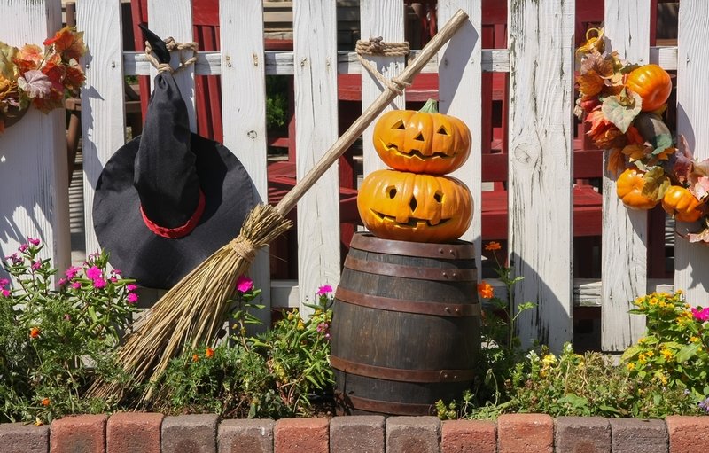 Get your garden ready for Halloween - Frosts