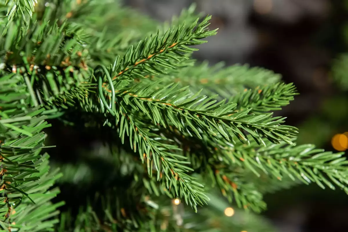 Bedminster Slim Christmas Tree Un-Lit - 7.5ft - image 2