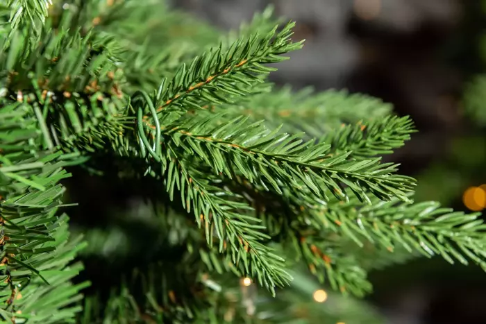 Bedminster Slim Christmas Tree Un-Lit - 7.5ft - image 2