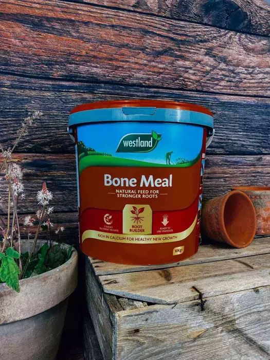 Bone Meal - 10kg - image 1
