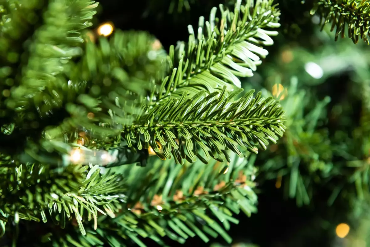 Chester Christmas Tree - 6ft - image 2