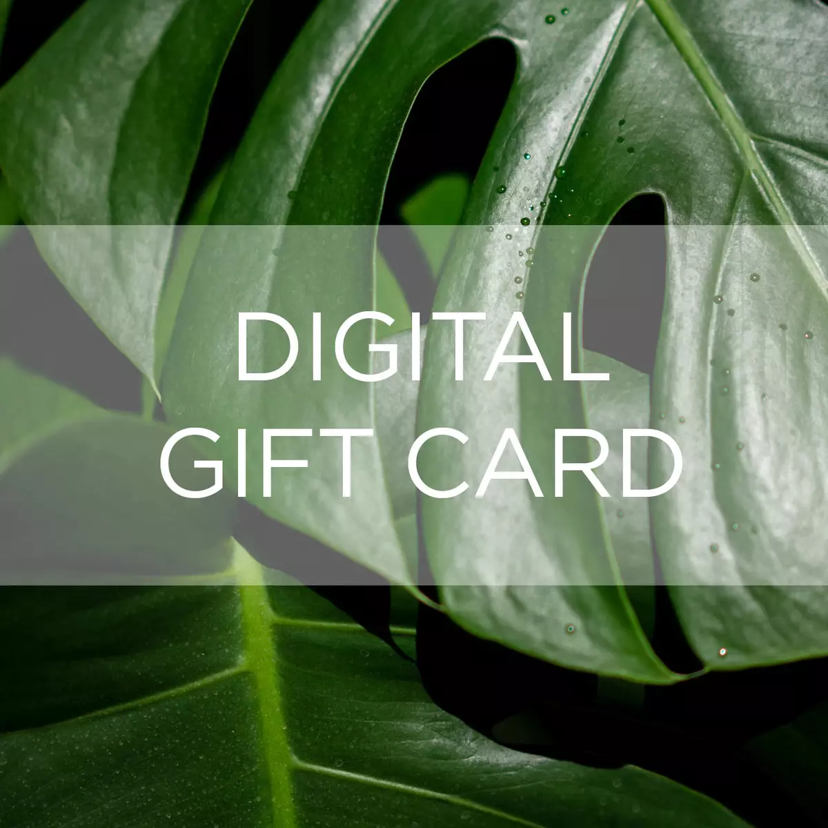 Digital Gift Card - Monstera Plant