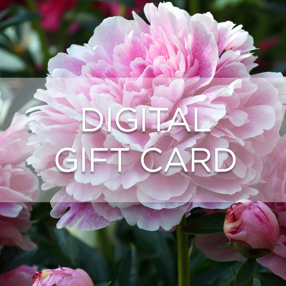Digital Gift Card - Peony