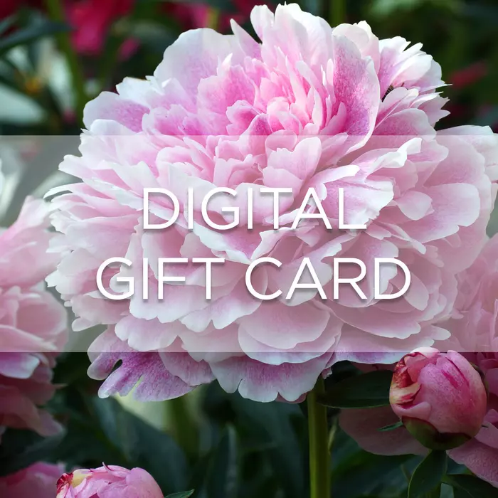 Digital Gift Card - Peony