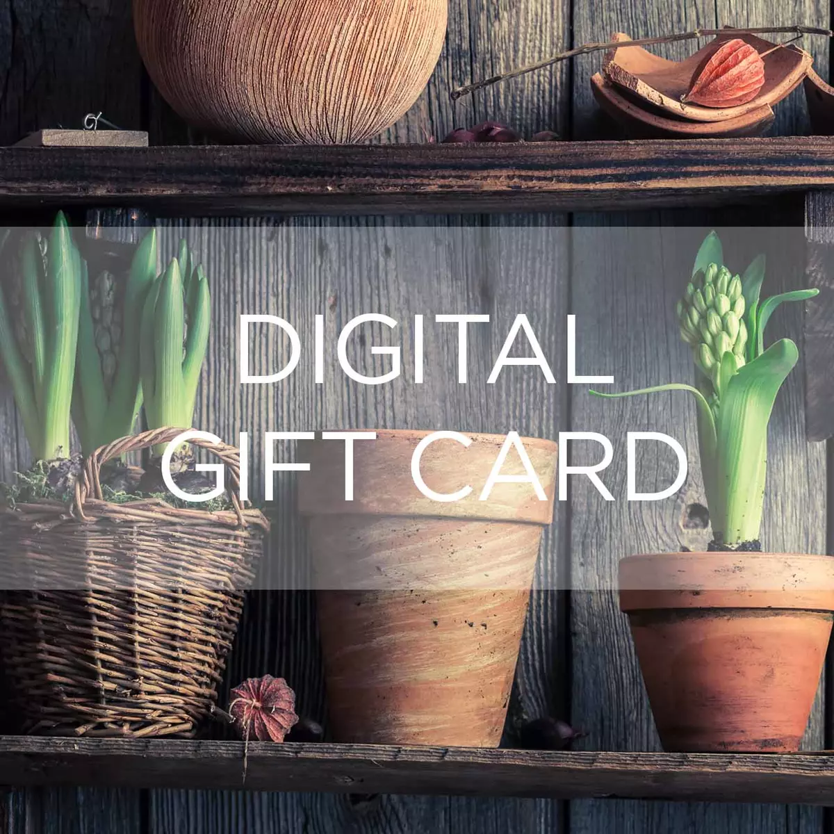 Digital Gift Card - Potting Shed