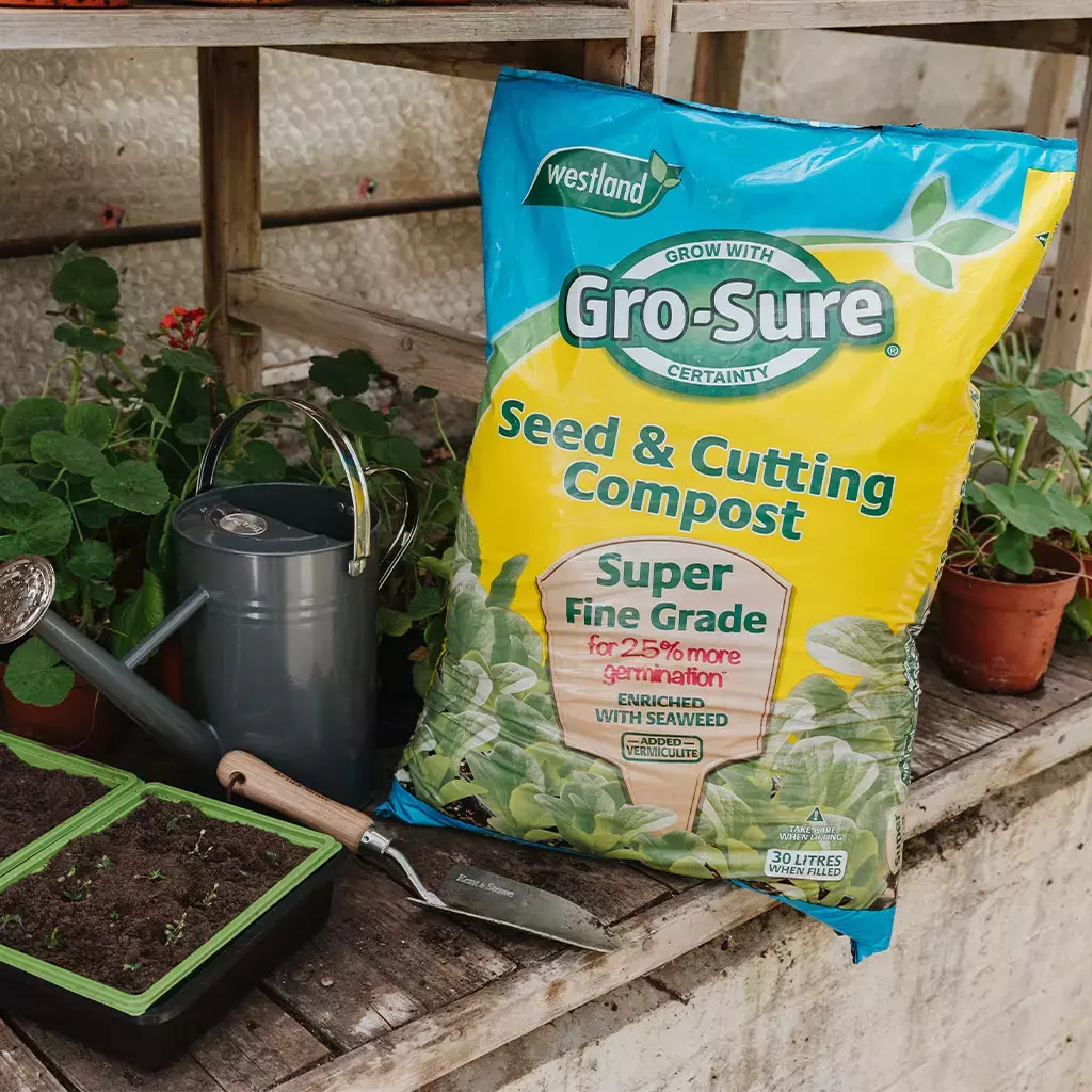 Gro-Sure Seed & Cutting Compost  - 20L