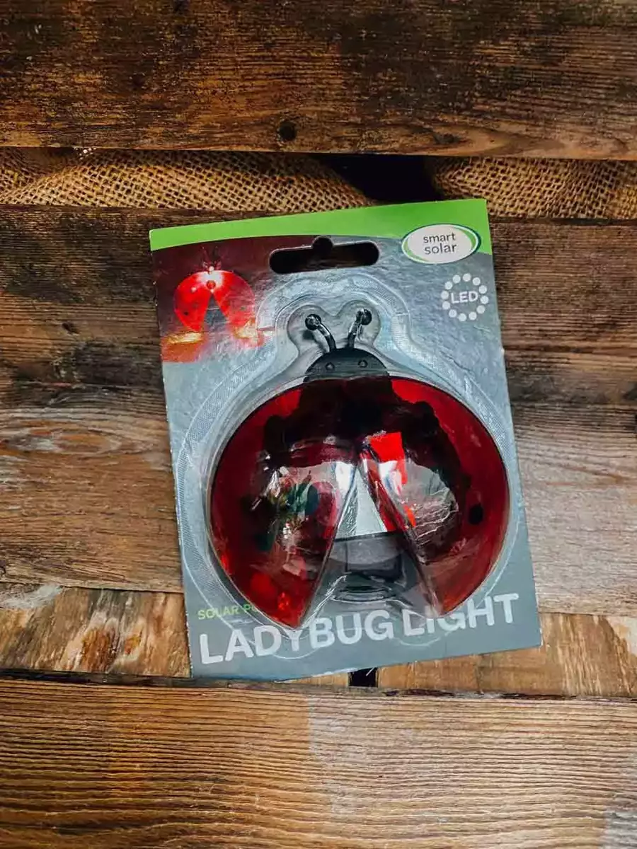 Ladybird Wall Light - image 2