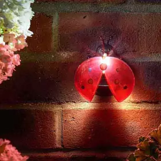 Ladybird Wall Light - image 1