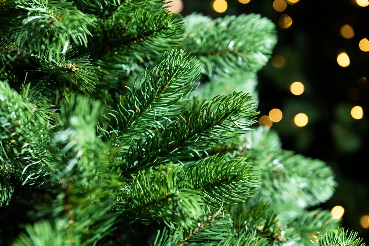 Lakewood Spruce Pre-Lit Christmas Tree - 6.5ft - image 2