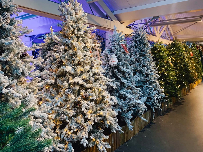 Lawrence Fir Christmas Tree Pre-Lit - 6.5ft - image 2