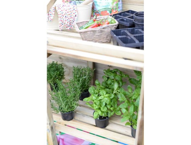 Mini Greenhouse - image 3