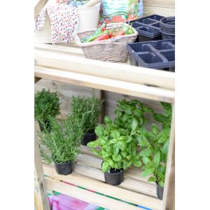 Mini Greenhouse - image 3