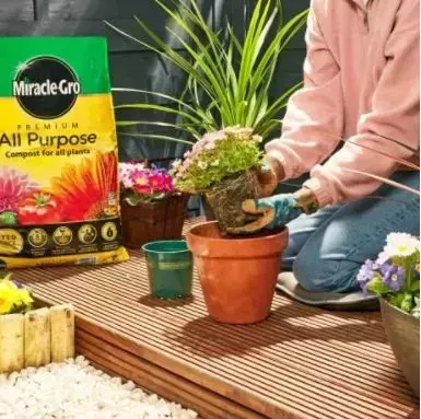 Miracle-Gro All Purpose - 20L