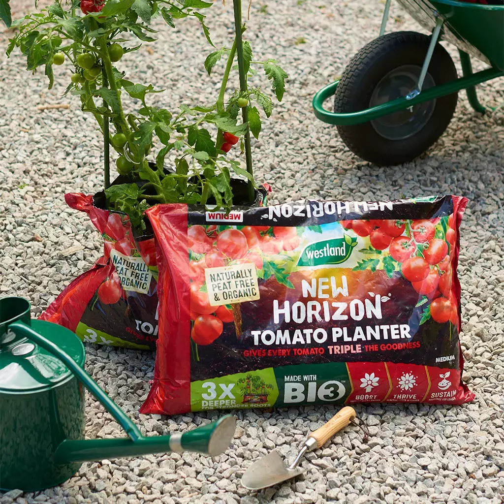 New Horizon Tomato Planter Medium - image 1