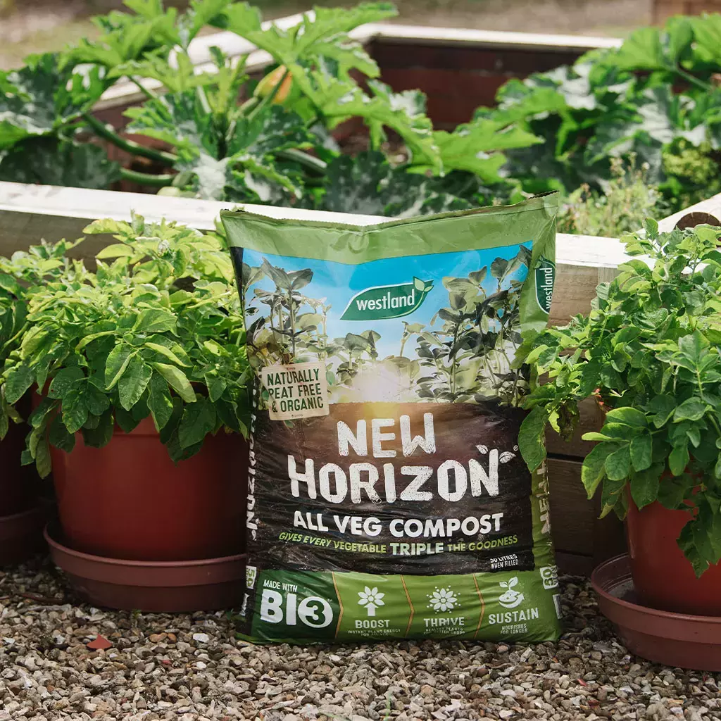 New Horizon Vegetable Growing Compost - 50L - image 1