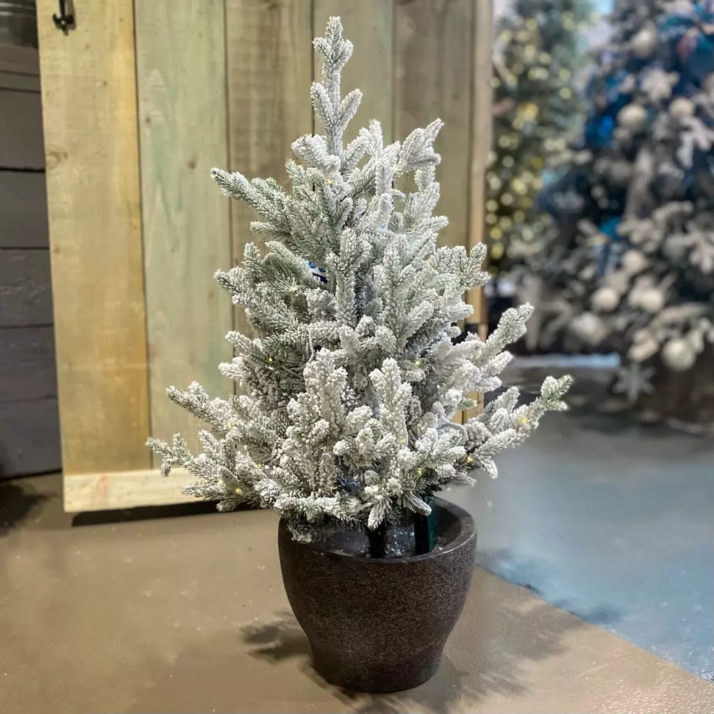 Norway Potted Tree - Warm White with White Wire - 90cm