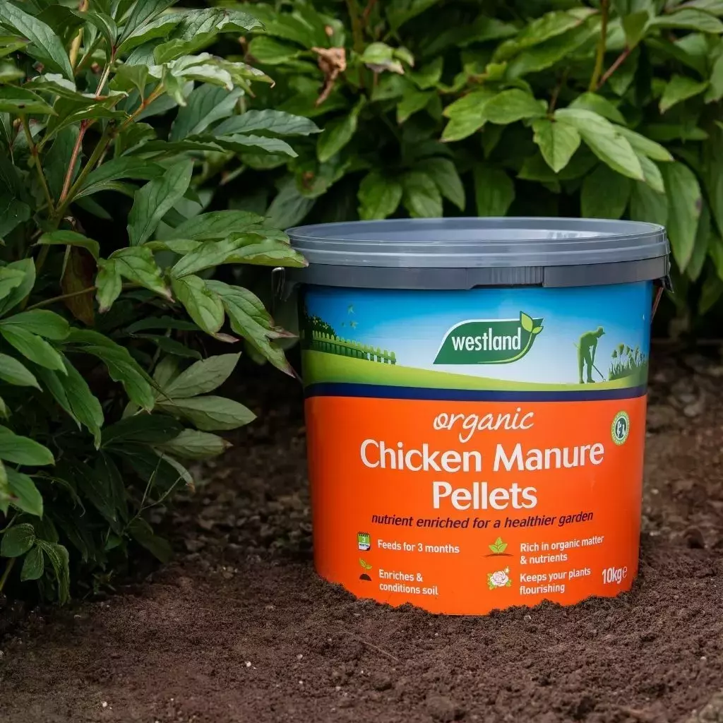 Organic Chicken Manure Pellets Bucket - 10kg