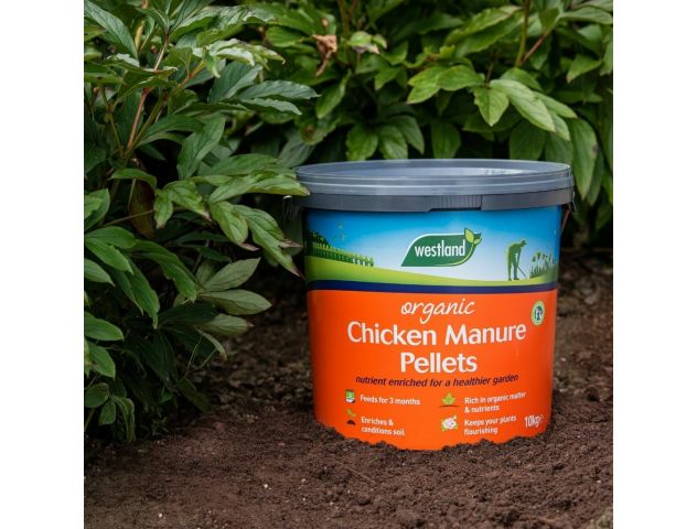 Organic Chicken Manure Pellets Bucket 10Kg