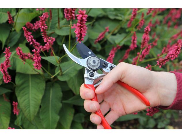 Small Bypass Pruner - image 2