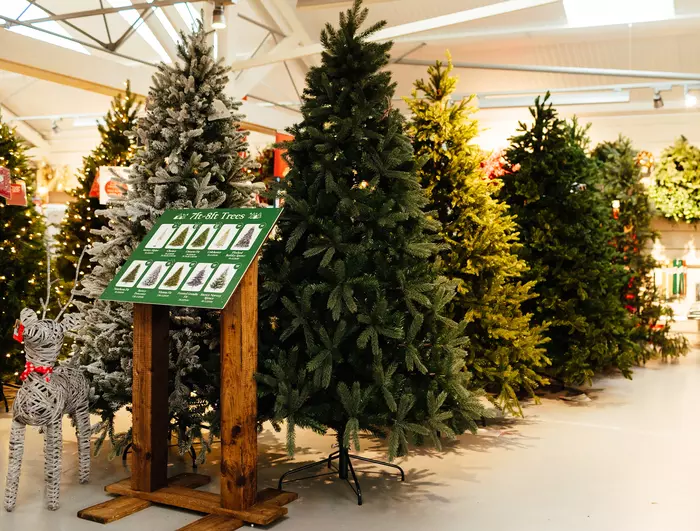 Snowy Hamilton Spruce Christmas Tree Pre-Lit - 6.5ft - image 2