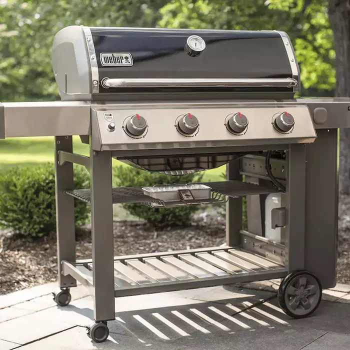 er Genesis II E410 GBS Frosts