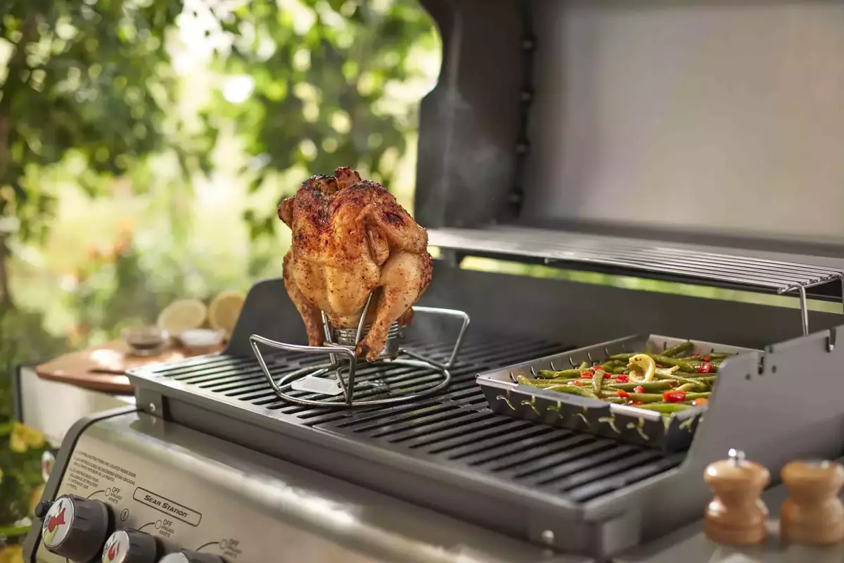 Weber Poultry Roaster - image 1