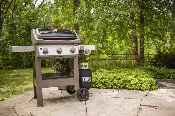 Weber Spirit II E-320 GBS - image 2